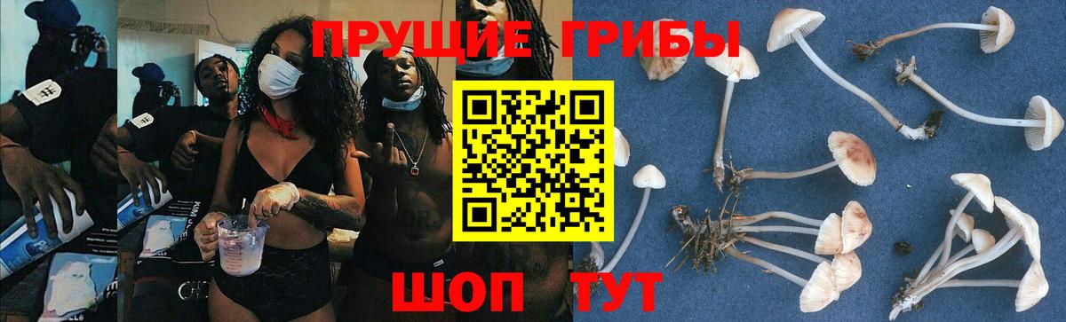 Кызыл  Псилоцибиновые грибы мухоморы  Вход с VPN 