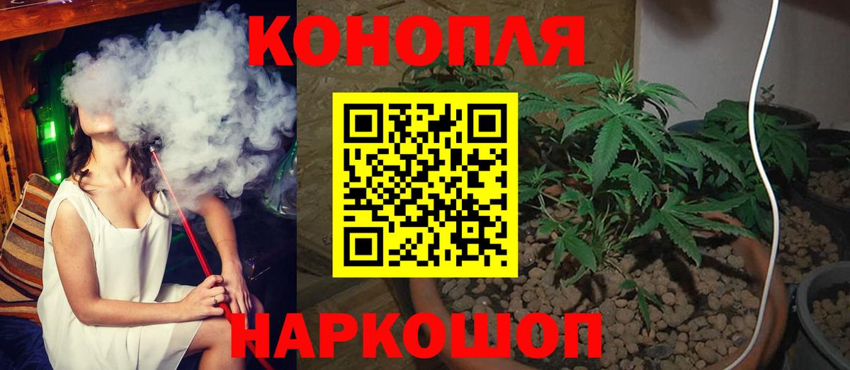 Каннабис гибрид Кызыл